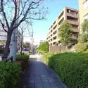 上野毛シティハウスサウステラスのその他（外観、エントランス、前面の通り等）