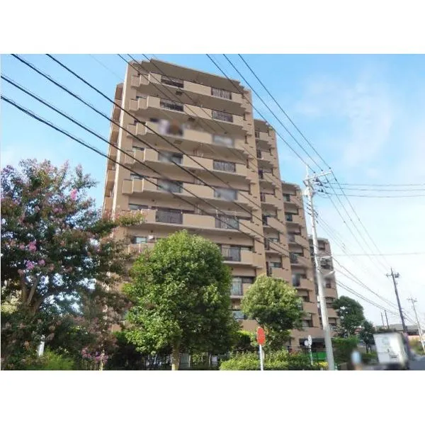 その他外観