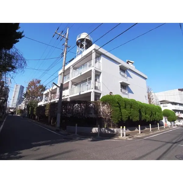 上野毛リッツハウスC館のその他（外観、エントランス、前面の通り等）