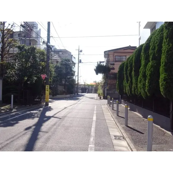 上野毛リッツハウスC館のその他（外観、エントランス、前面の通り等）