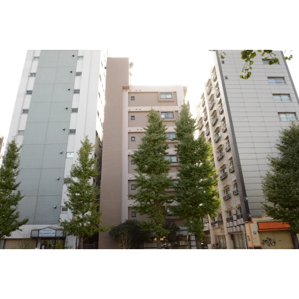 その他外観