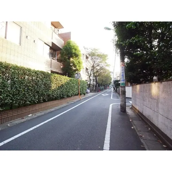 桜新町シティハウスのその他(外観、エントランス、前面の通り等)