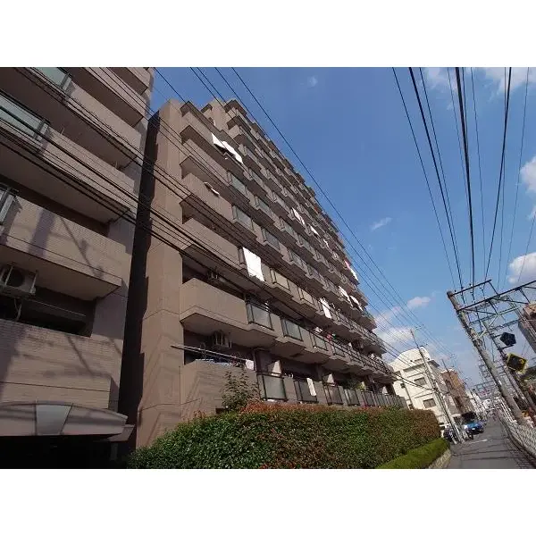 レクセル下落合第1のその他（外観、エントランス、前面の通り等）