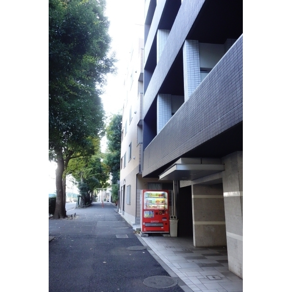 その他外観