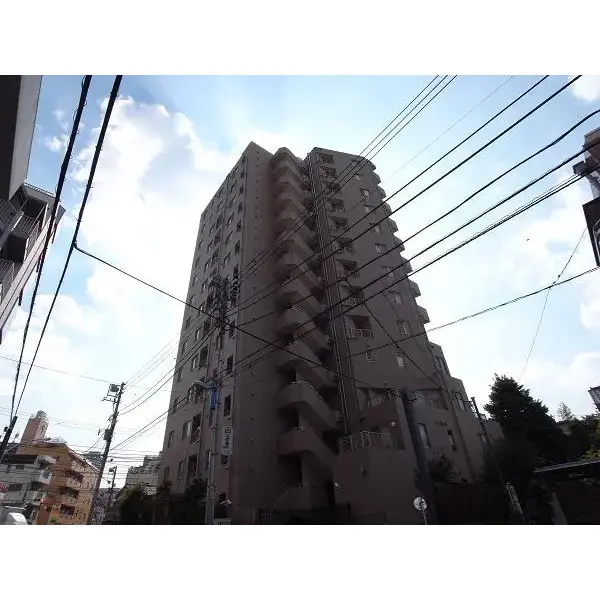 ザ・パームス東中野2のその他（外観、エントランス、前面の通り等）
