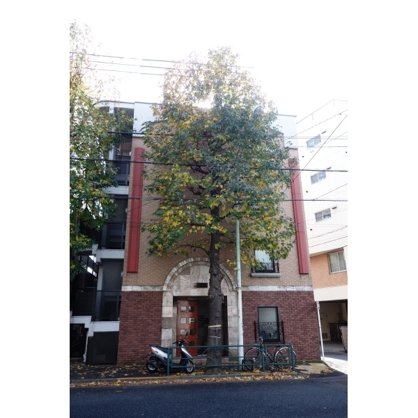その他外観