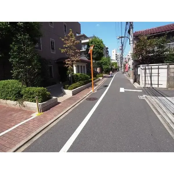 フェイム新宿柏木町のその他（外観、エントランス、前面の通り等）