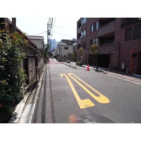 クレッセント新宿柏木のその他（外観、エントランス、前面の通り等）