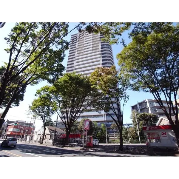 エルザ世田谷ザタワーのその他（外観、エントランス、前面の通り等）