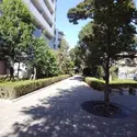 エルザ世田谷ザタワーのその他（外観、エントランス、前面の通り等）