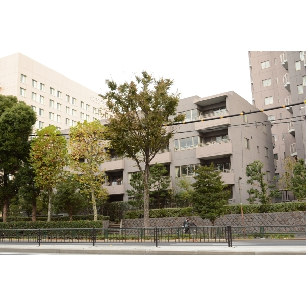 その他外観