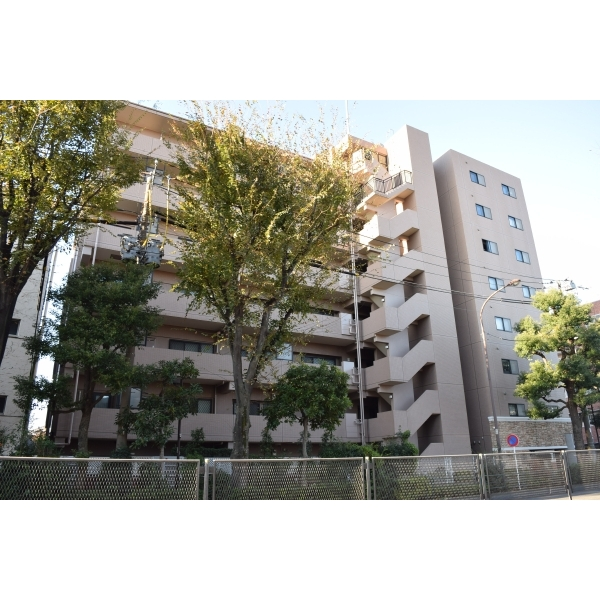その他外観