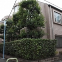 その他外観