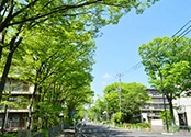 【小田急線】憧憬の街並み成城学園で土地を探す